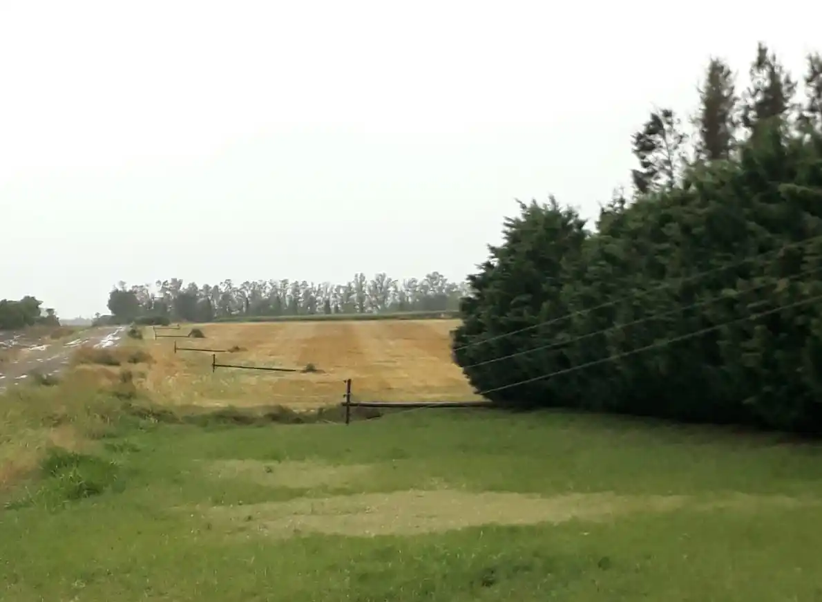 Temporal: Coopser dispuso operativo especial