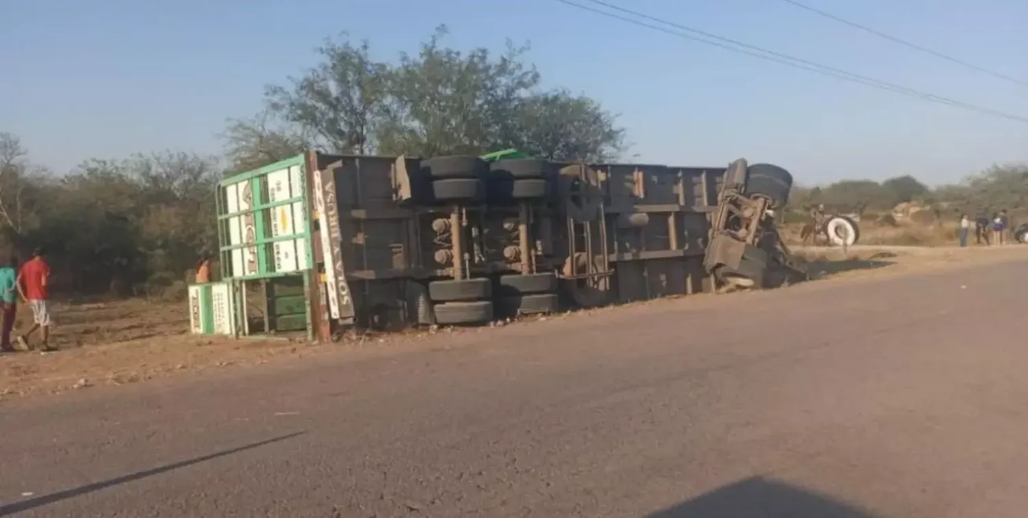 Volcó un camión con vacas y los vecinos se pelearon para llevarse los animales