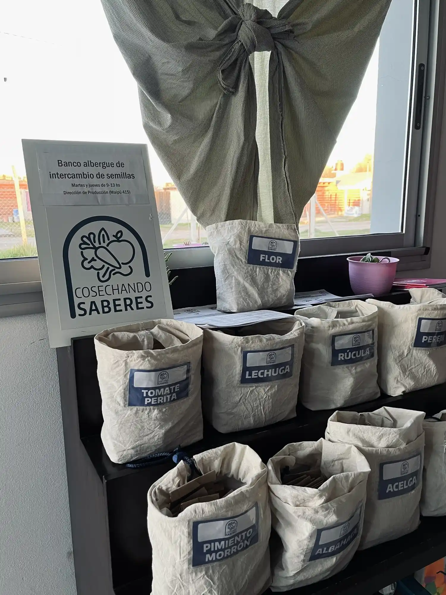 318 grupos familiares recibieron semillas del programa municipal “Cosechando saberes”