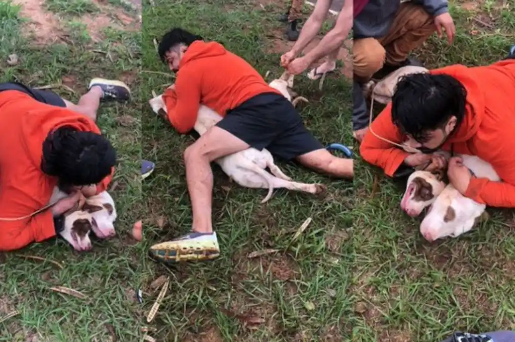 Luchador controló a dos perros Pitbull