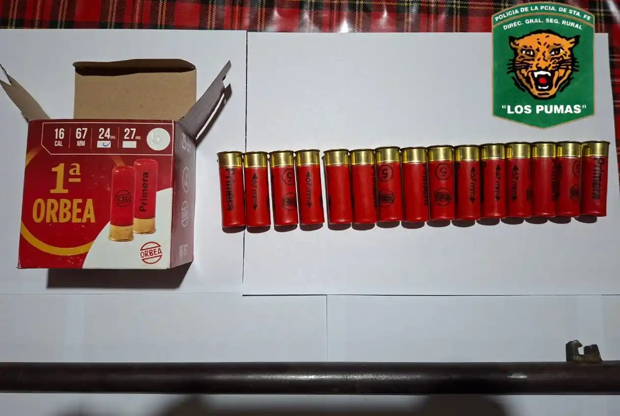 Un presidente comunal denunció la faena ilegal de un animal de una empresa agropecuaria - 2