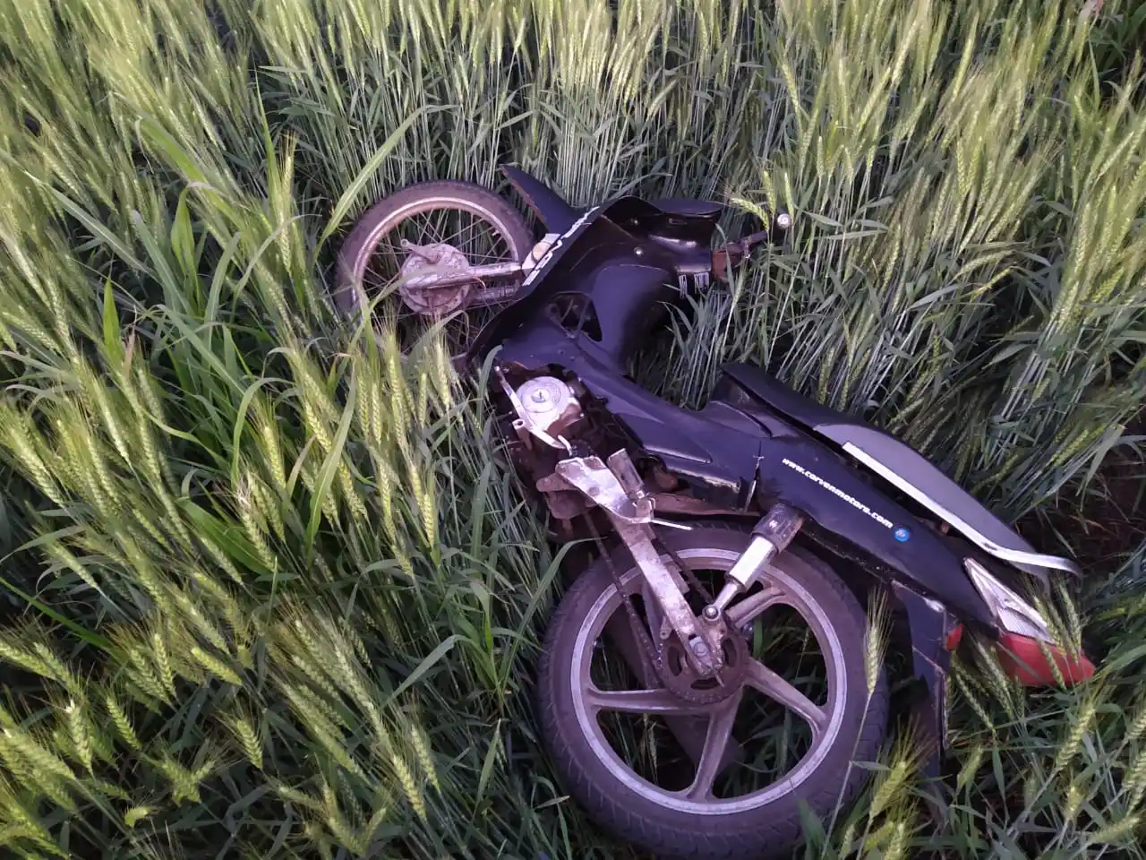 Robó una moto, escapó de la policía y luego fue atrapado