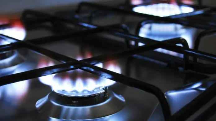 El Senado avanza con el proyecto para reducir tarifas de gas en zonas frías