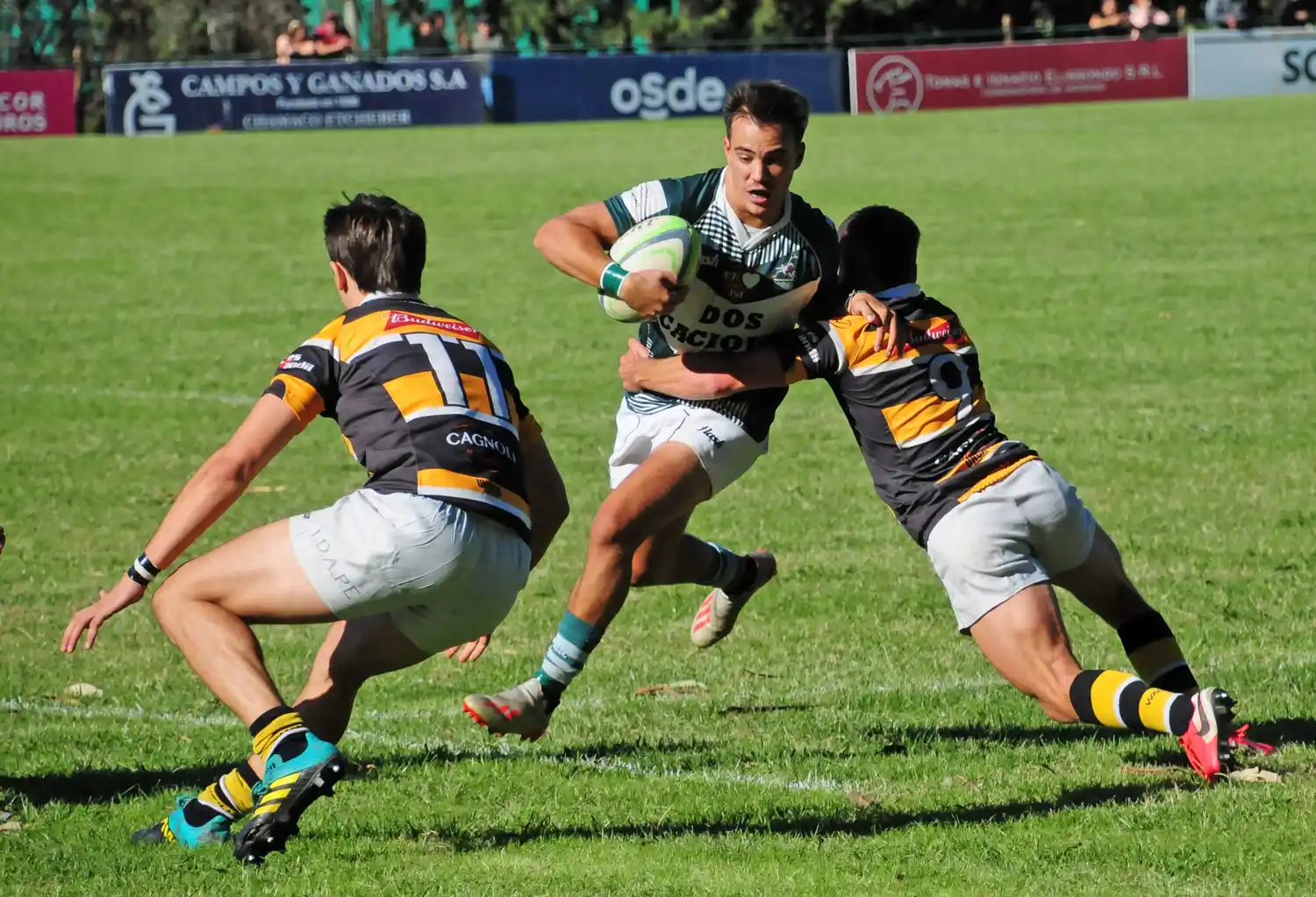 Los Cardos frente a Uncas, en busca de las semifinales