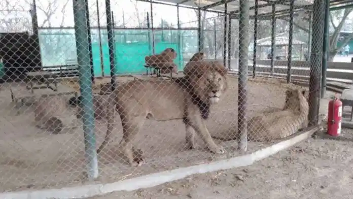 El Zoológico de Luján tiene 10 días para presentar un plan de reconversión