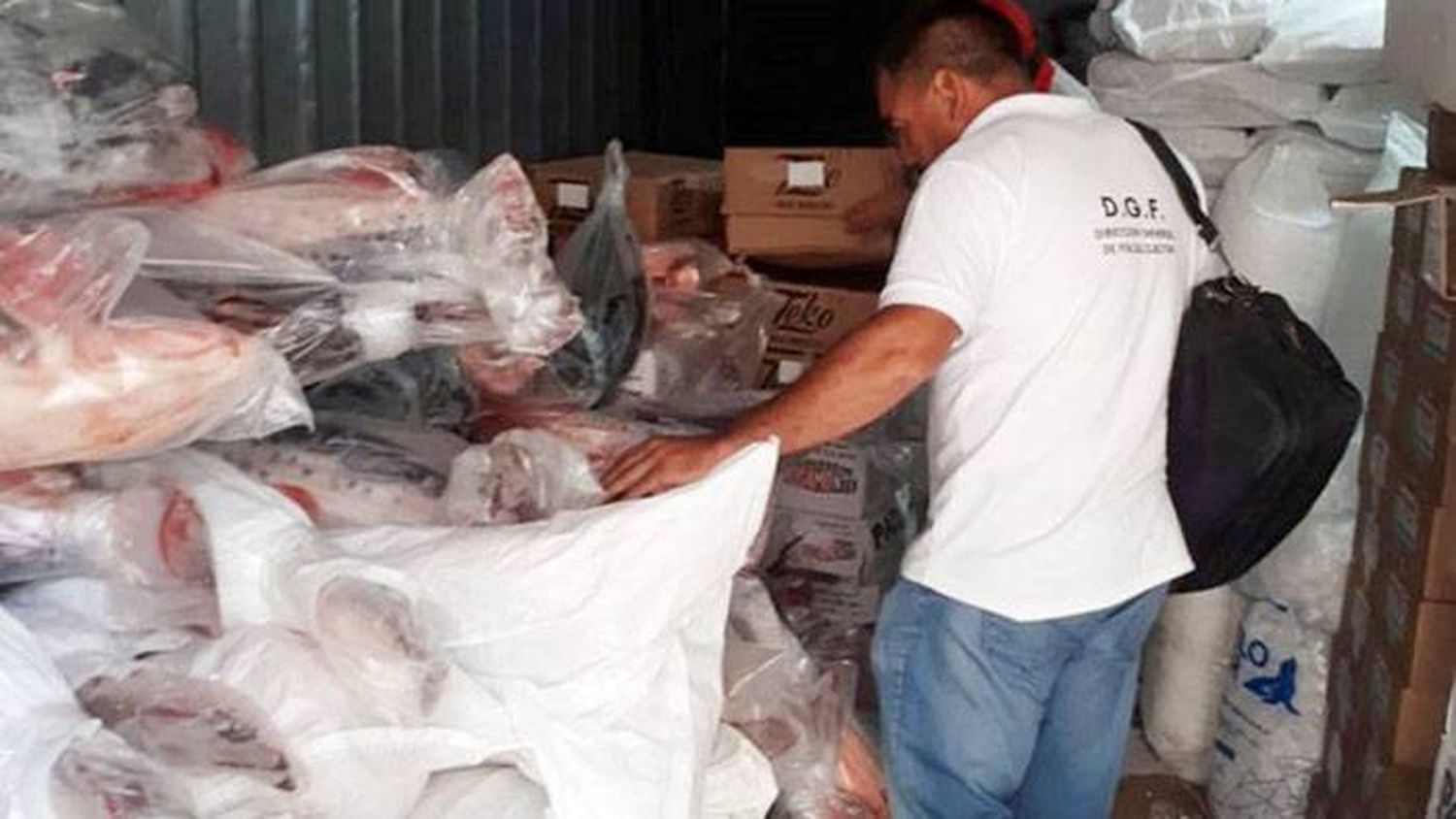 Decomisaron 6.755 kilos de pescados  en Diamante