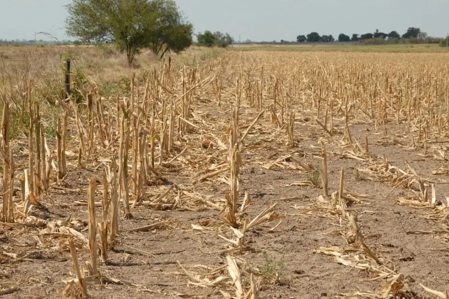 Emergencia agropecuaria en Santa Fe: la Comisión Nacional avaló la prórroga solicitada por Provincia