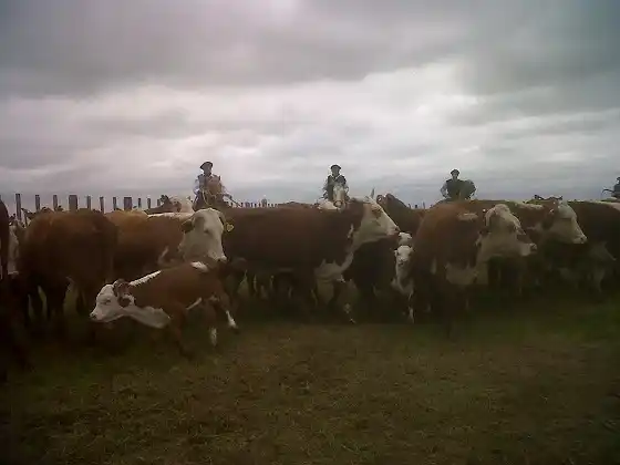 “Gualeguaychú es uno de los Departamentos con mayor movimiento de hacienda en el país”