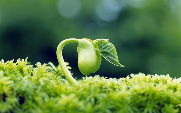 Se promulgó la ley de Educación Ambiental en Entre Ríos 