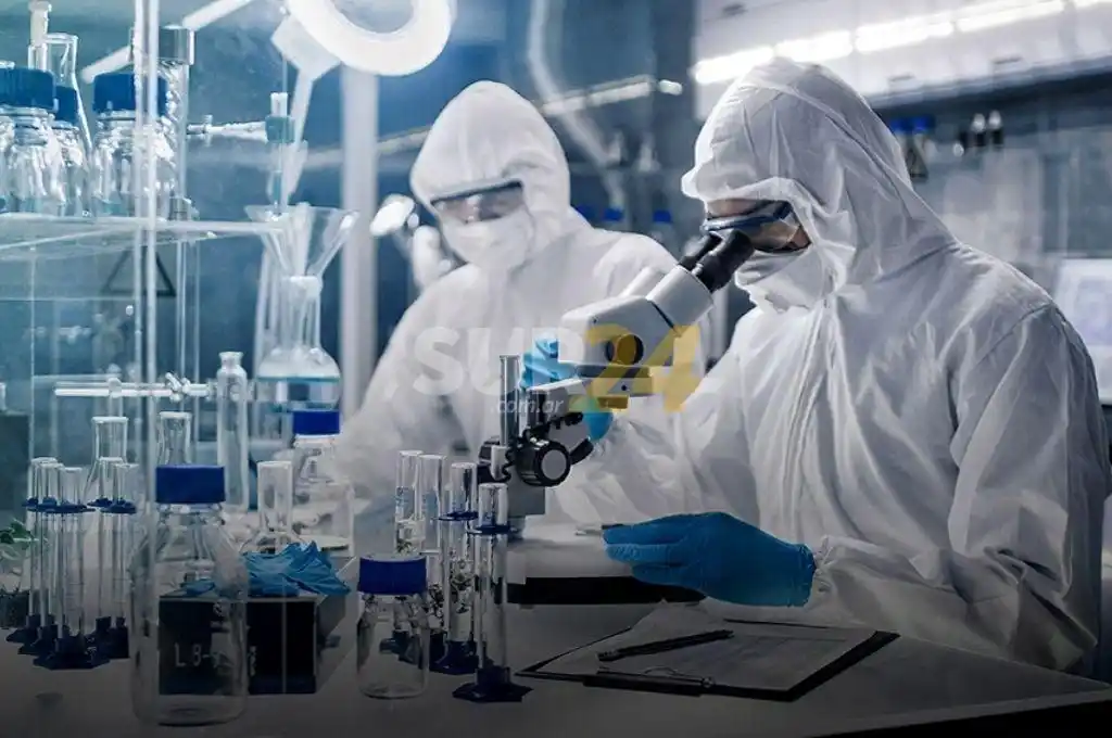 Uruguay: primer caso de “hongo negro”, patología asociada al coronavirus