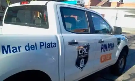 MAR DEL PLATA: 20 jóvenes detenidos al asaltar un kiosco