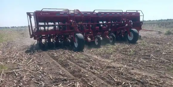 Ausencia de lluvias, ambientes secos y elevada temperatura frenaron la siembra de sorgo y maíz