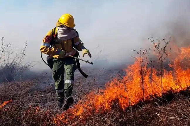 El campo cruzó a Fernández: "Lo más fácil es decir que la culpa es de los productores"