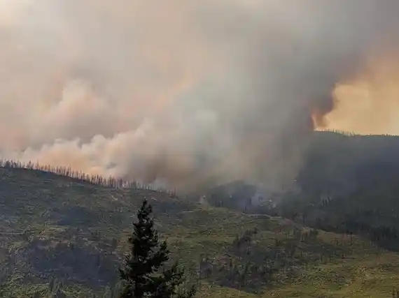 Se cuadruplicaron los daños por incendios los forestales en la UE