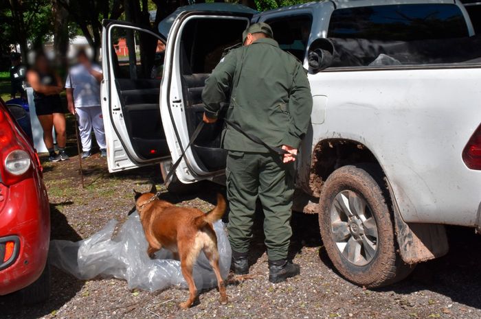 Gendarmería Nacional cargamento Rafaela GNA hojas de coca - 2