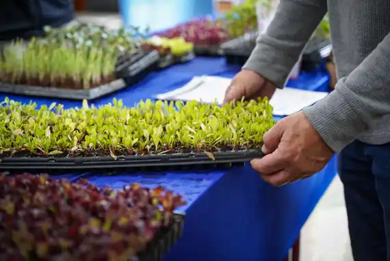 Presentaron la edición 2025 del programa Huerta Urbana Bonaerense