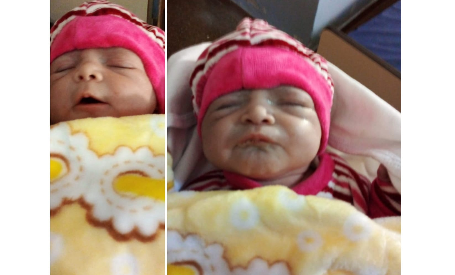 ¡Llegó Olivia!