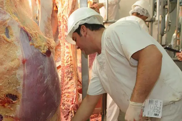 Despiden 70 empleados de Marfrig en Córdoba