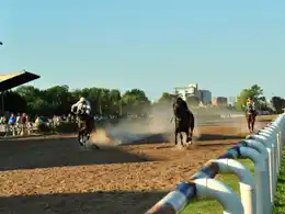 El Hipódromo será escenario el domingo de la sexta reunión hípica de la temporada