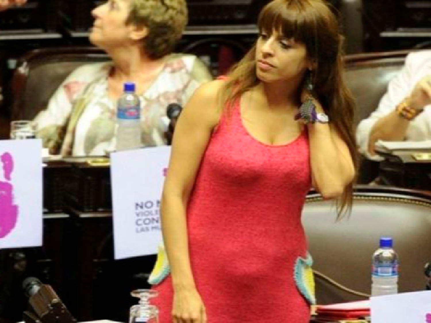 La empleada doméstica de Victoria Donda le reclama una indemnización de casi un millón de pesos