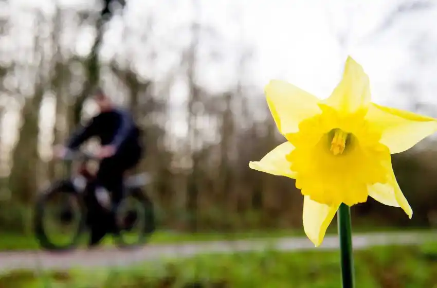 A esperar con campera la llegada de una tarde primaveral