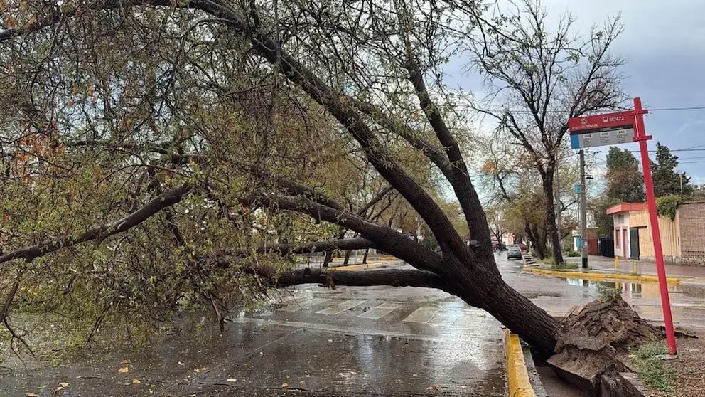 La tormenta de Santa Rosa azotó con fuerza Mendoza y también afectó a provincias del norte y de Cuyo