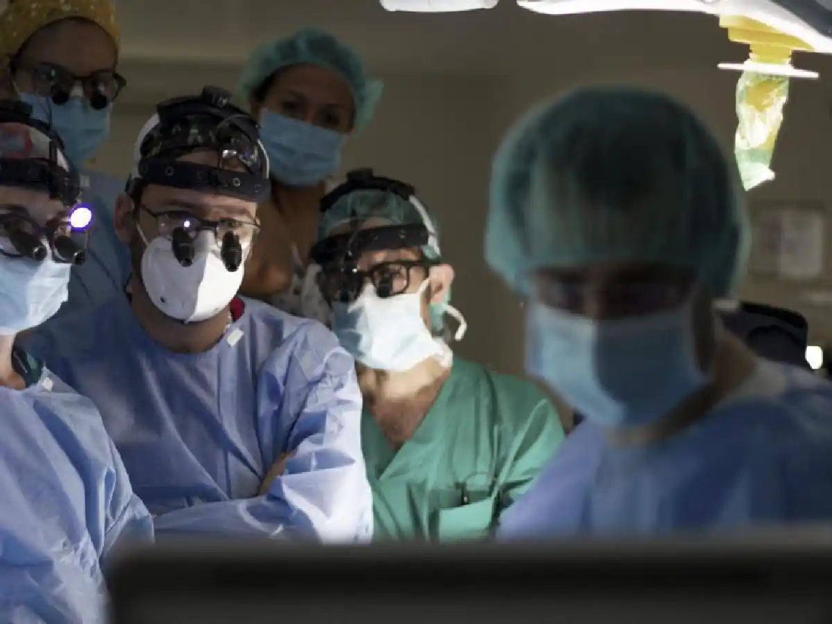 Una investigación argentina, clave para un hito en la historia del trasplante intestinal
