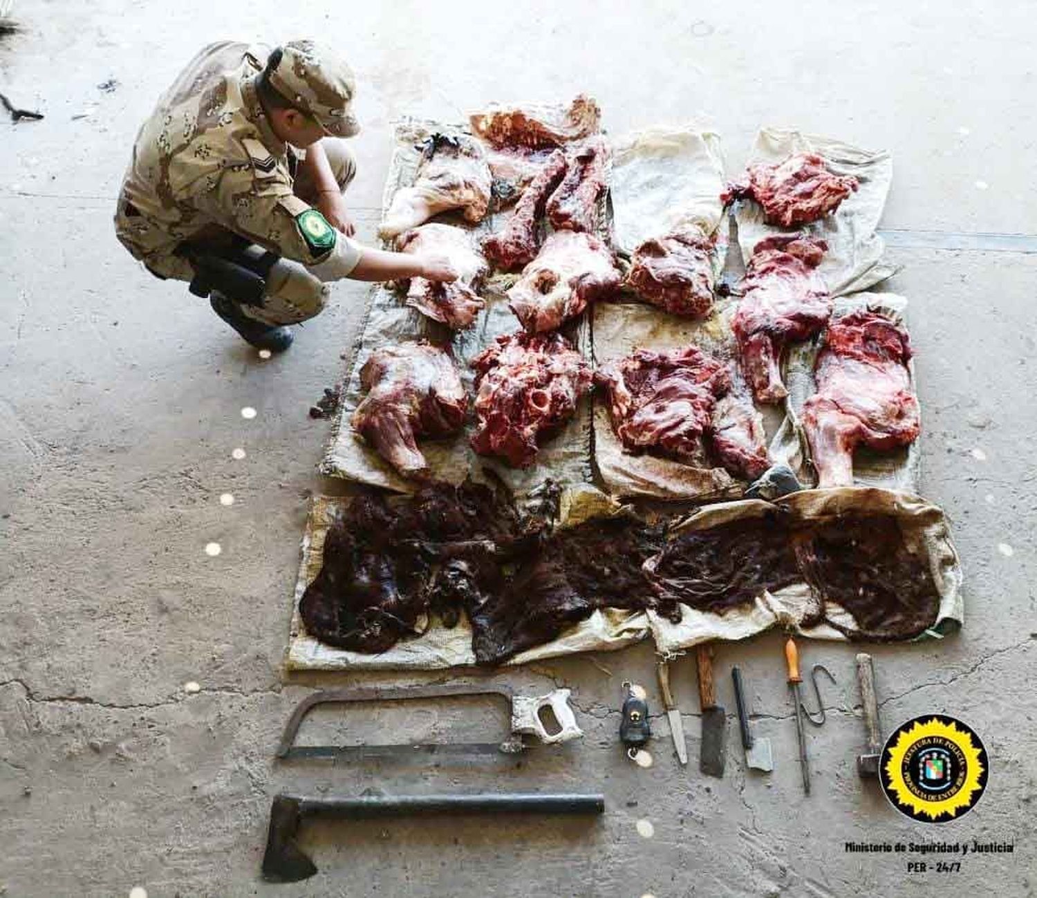 Cuatro allanamientos por abigeato culminan con el secuestro de 200 kg de carne vacuna y armas de fuego