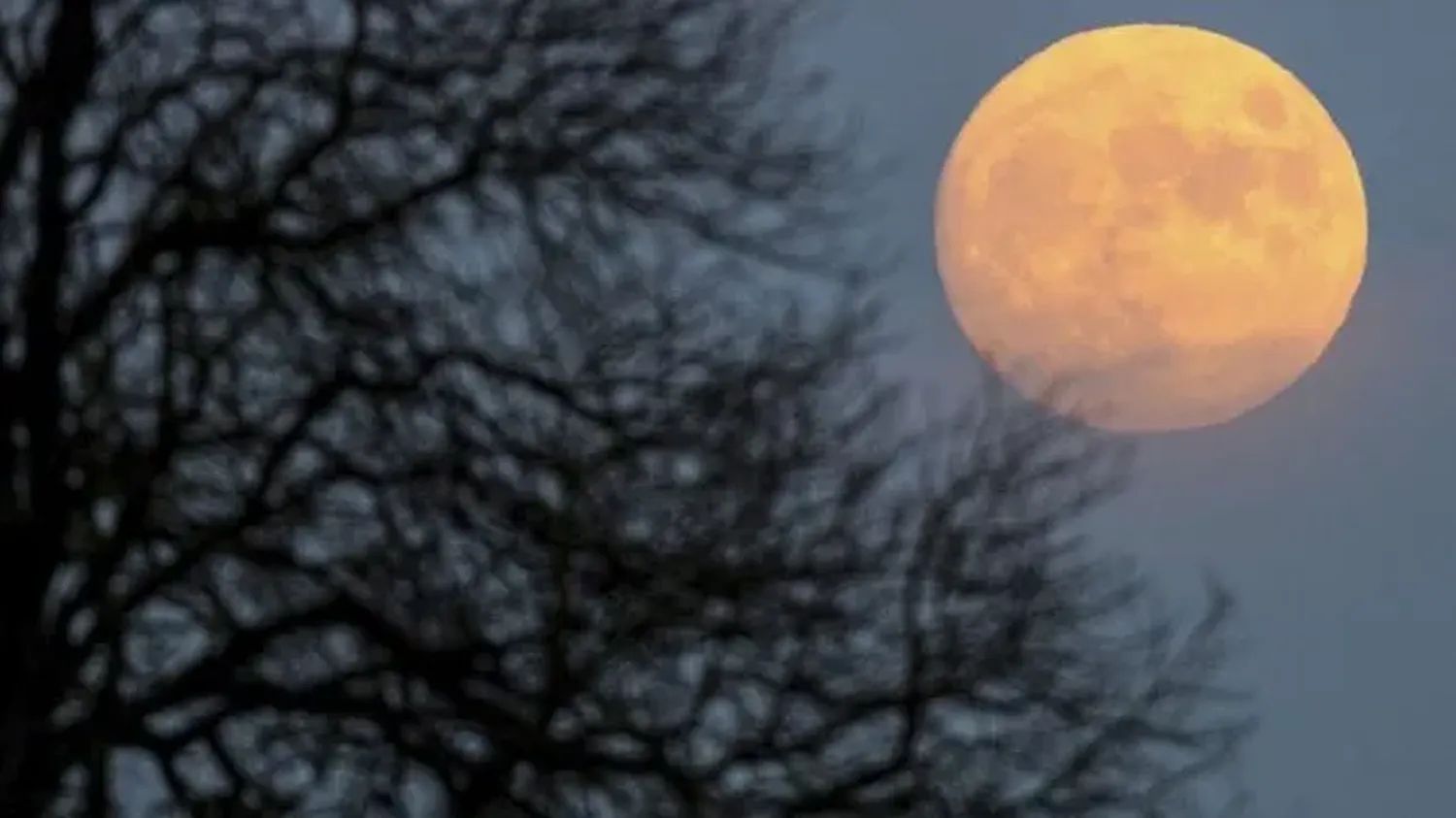 La Luna de Frutilla iluminará el cielo santafesino este 11 de junio