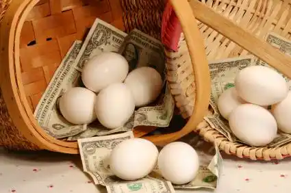 Estamos poniendo todos los huevos en la misma canasta ?