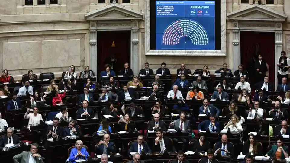 Ley Bases en Cámara de Diputados de la Nación