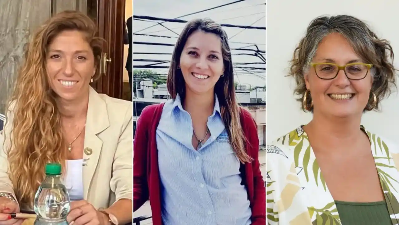 Varias figuras del sur-sur se ilusionan con alcanzar una banca en la Cámara baja