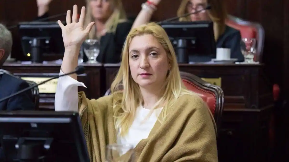 Ahumada contra las medidas del Gobierno: “Creen que la dignidad se compra con un calefón”