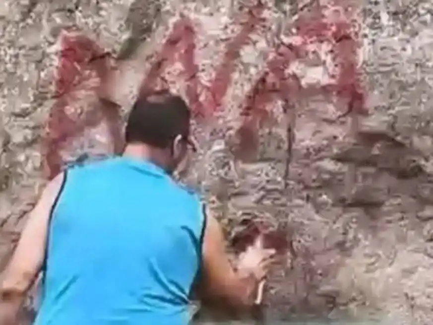 "Ana" y "Gustavo"...las palabras que desataron el escándalo viral.