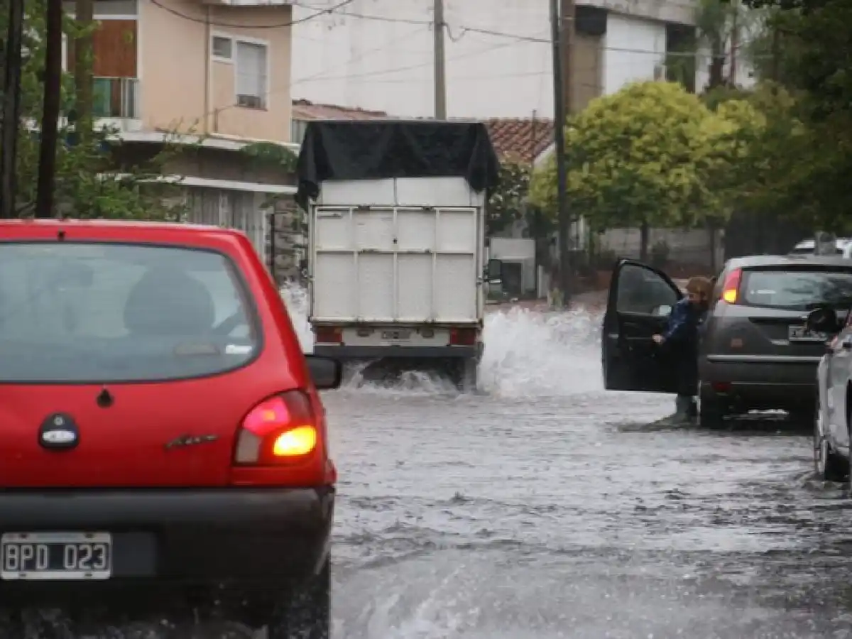 Diluvia en Córdoba: calles anegadas y árboles caídos