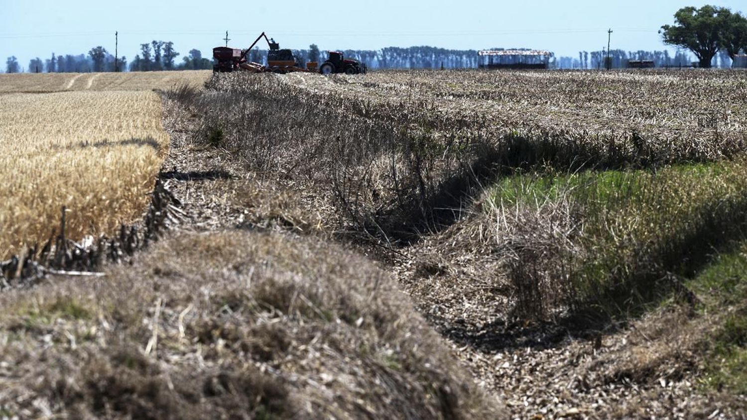 Declaran emergencia agropecuaria por sequía en 33 partidos de la provincia de Buenos Aires, entre ellos Tandil