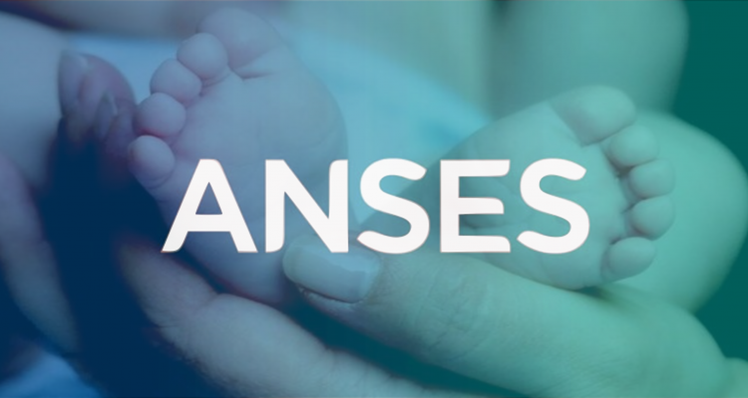 Anses: Cuáles son los requisitos para acceder a la Asignación Familiar por Prenatal