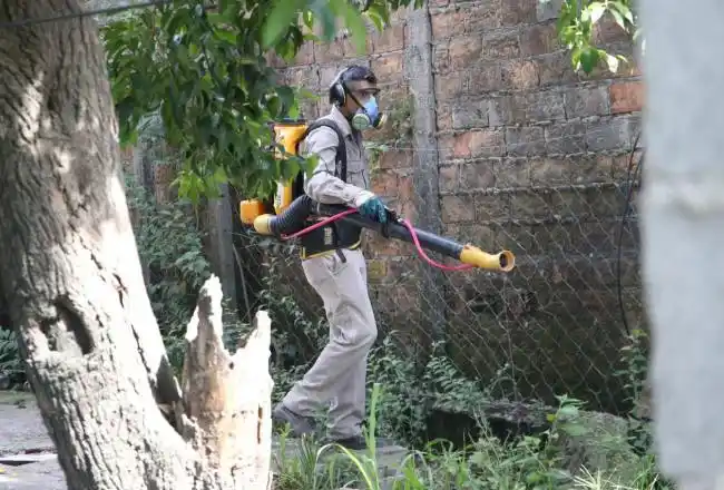 Dengue: qué es y cómo se contagia la enfermedad que ya contrajo una sampedrina
