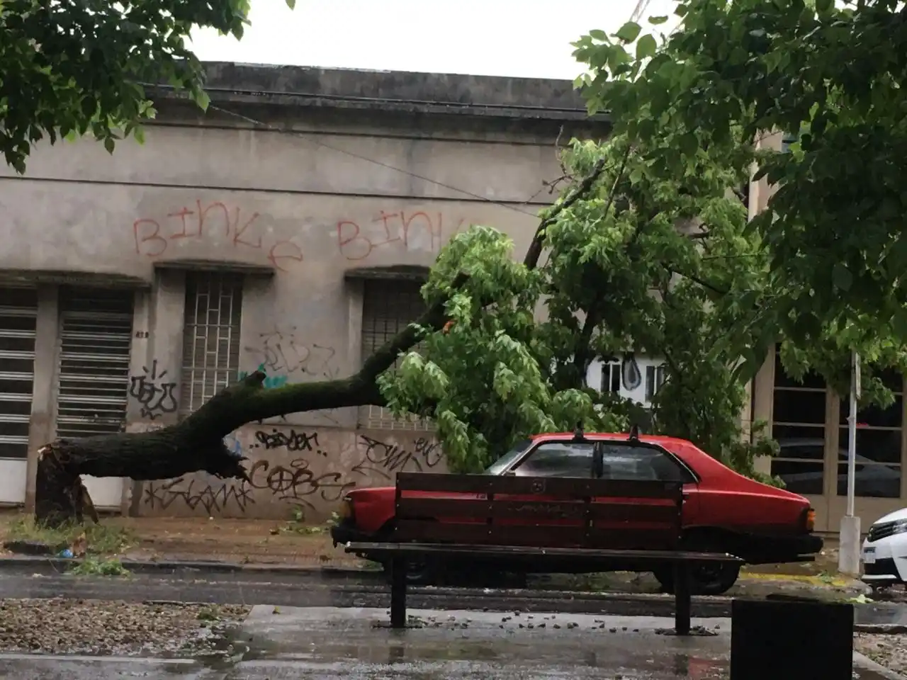 En tan solo pocos minutos un intenso temporal provocó destrozos en La Plata