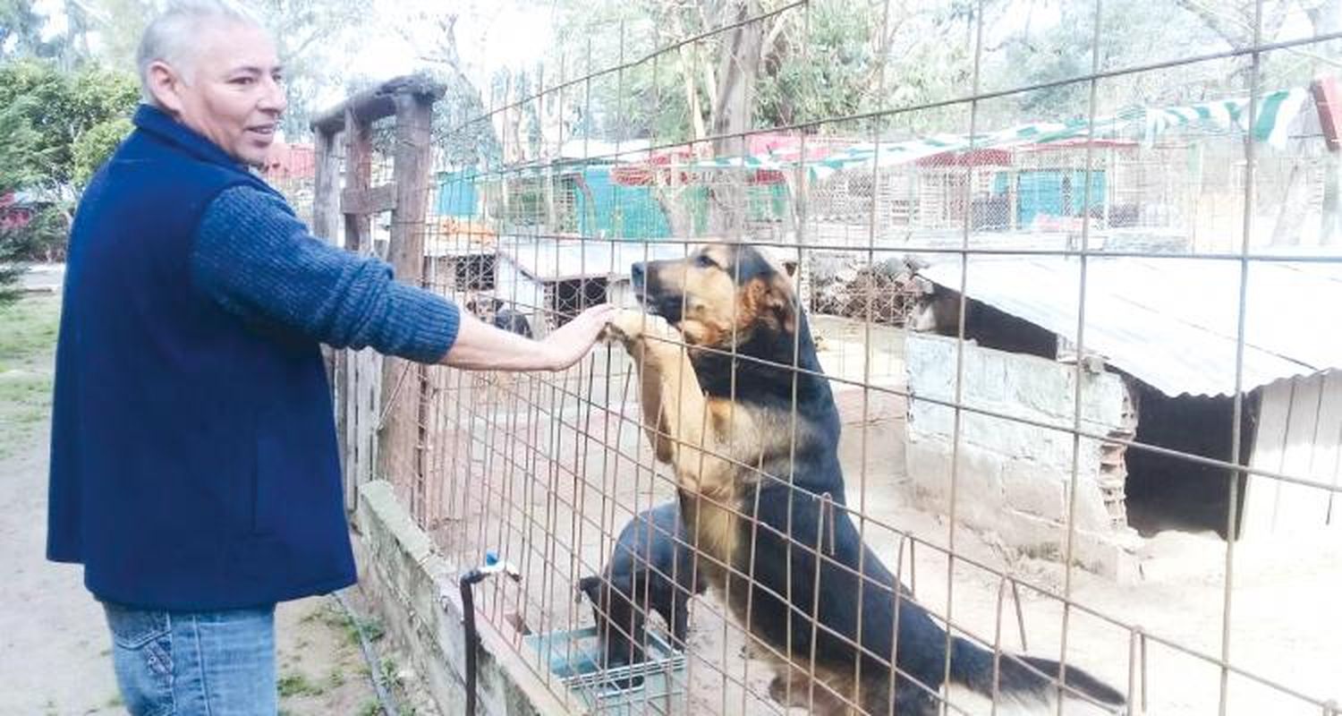 Acuerdo y “aquí no ha pasado nada” con la guerra de los perros