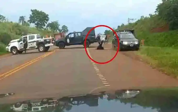 El operativo se llevó a cabo en la ruta 14, entre Oberá y Guaraní.