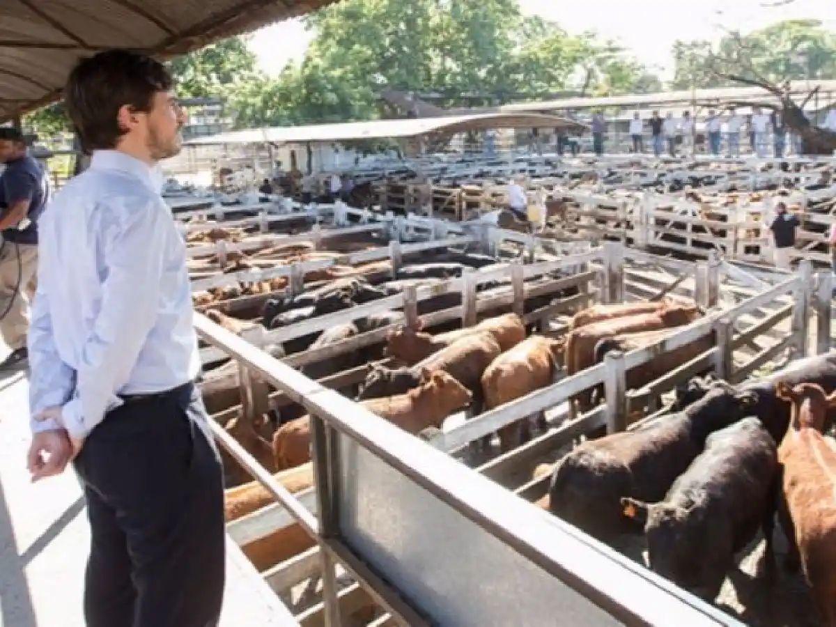 Liniers: por el coronavirus sólo se venden vacunos entre particulares  