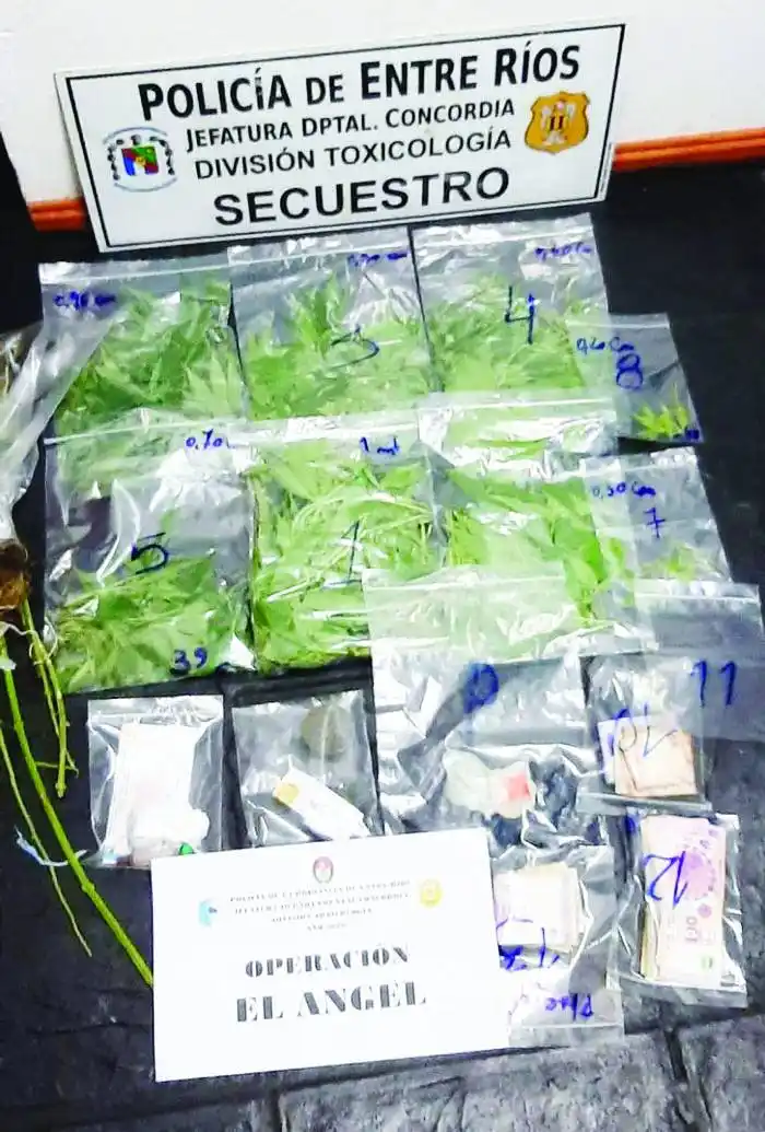 Allanan una vivienda y  secuestron estupefacientes