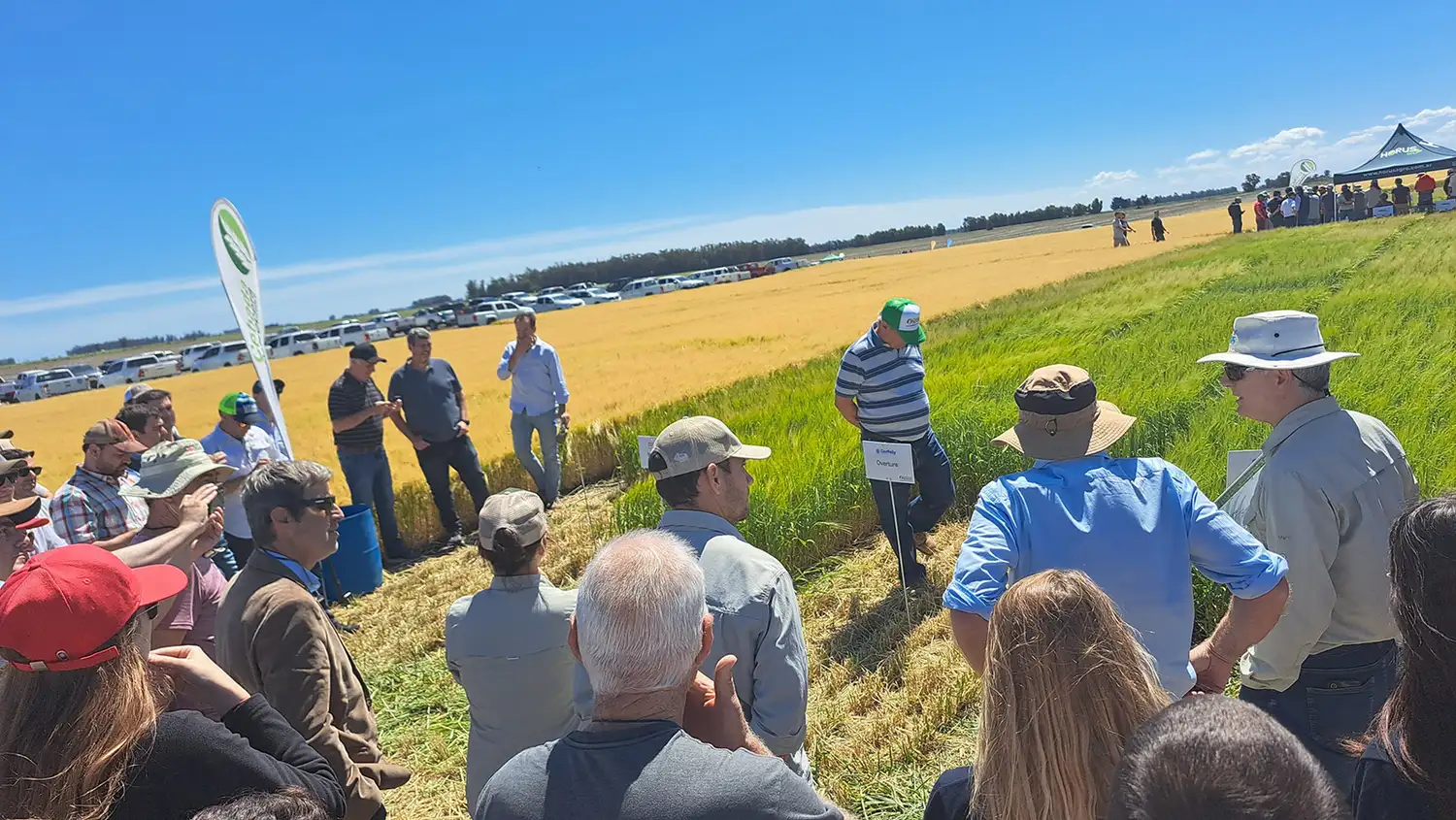 A campo. La recorrida de sembrados fue parte de la jornada
