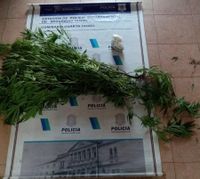 Robaron una cámara de seguridad, les allanaron la casa y le rompieron un vidrio a un móvil policial