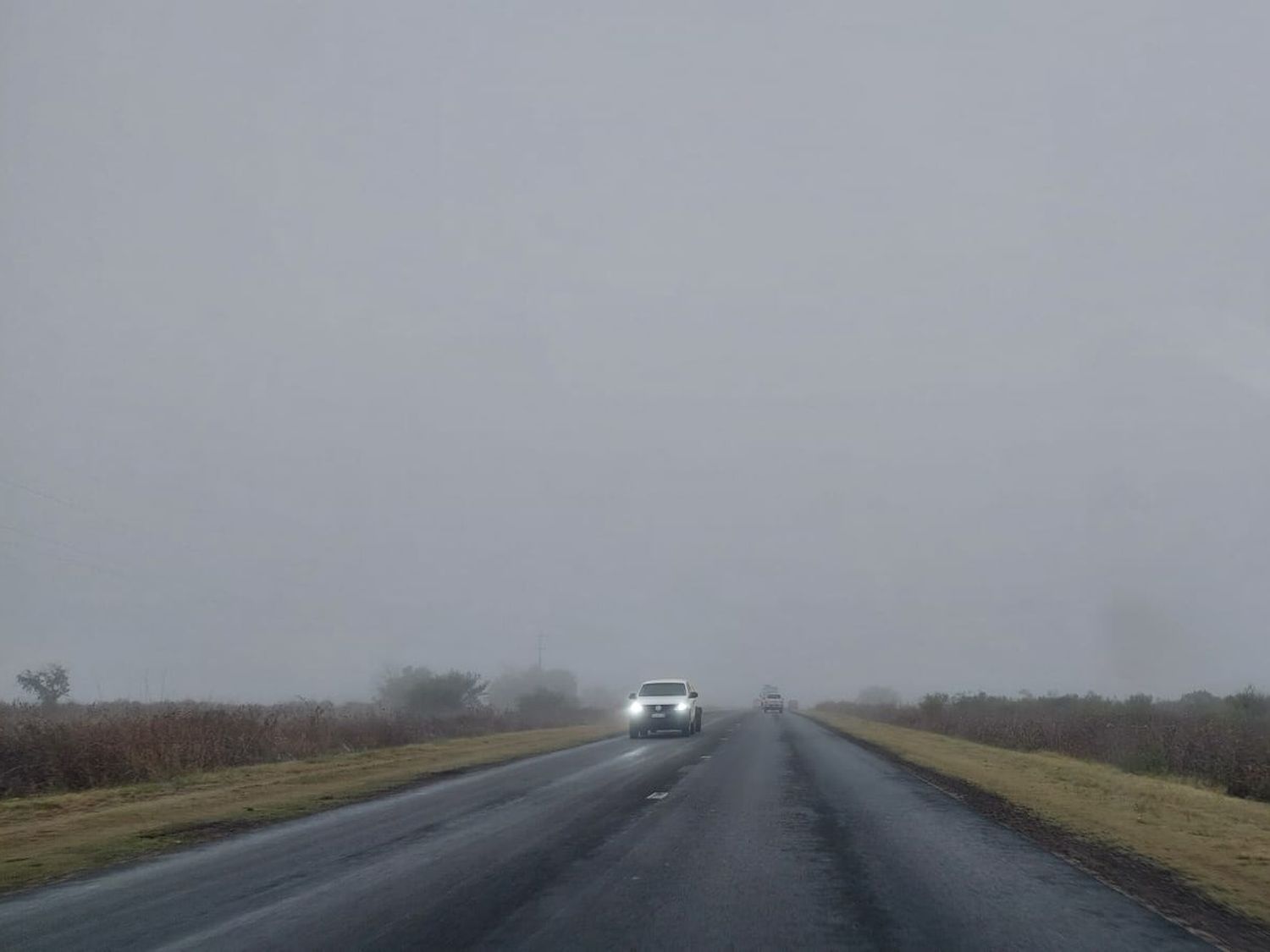 Alerta violeta por niebla en Entre Ríos: fuerte reducción de visibilidad y recomendaciones para circular
