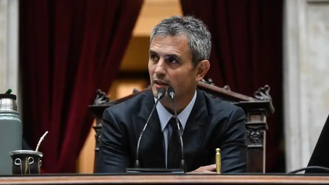 Presidente de la Cámara de Diputados, Martín Menem.