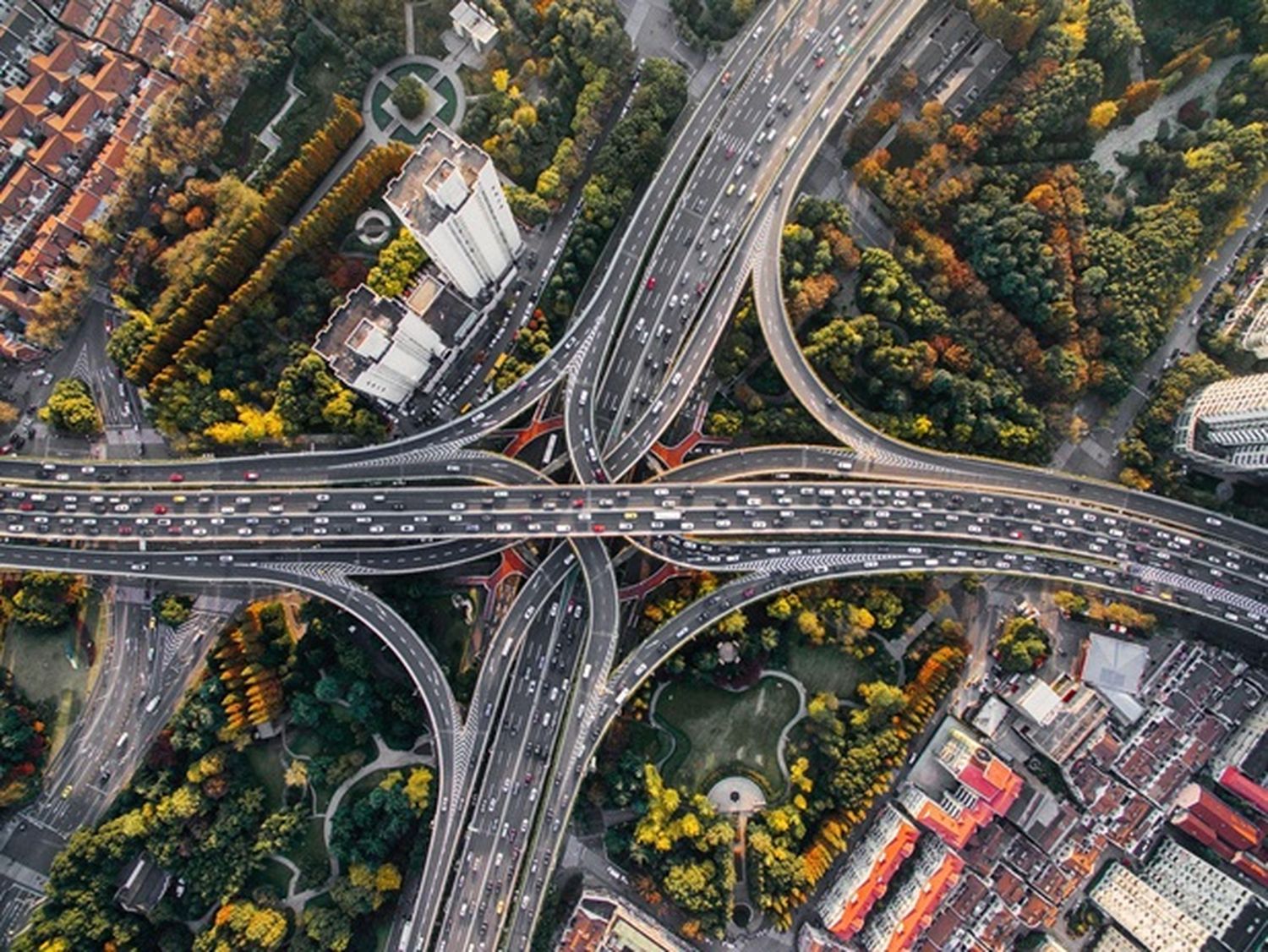 La Guia Esencial para Seguro de Auto