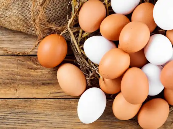 HUEVOS FELICES: pequeños productores se unen para emprender