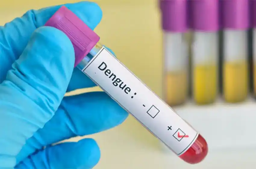 El brote de dengue ya es histórico y suman 2206 casos en territorio bonaerense